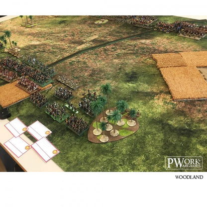 PWork - Woodland - Wargames Terrain Mat - 3X4'
